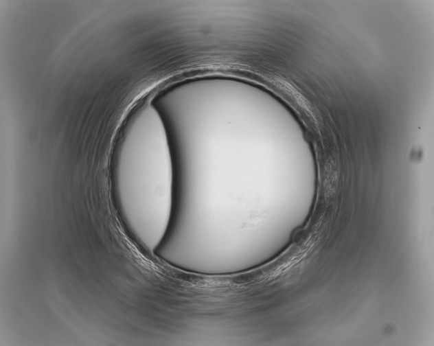 X0000096490831200801241208