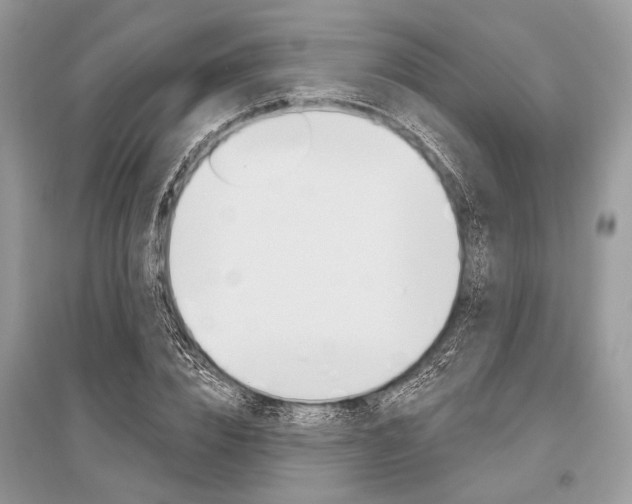 X0000096490832200801241208