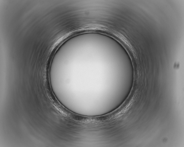 X0000096490834200801241208