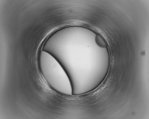 X0000096490835200801241208