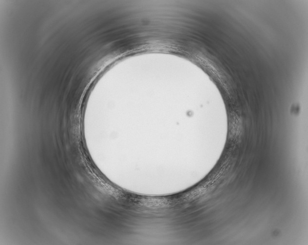 X0000096490836200801241208