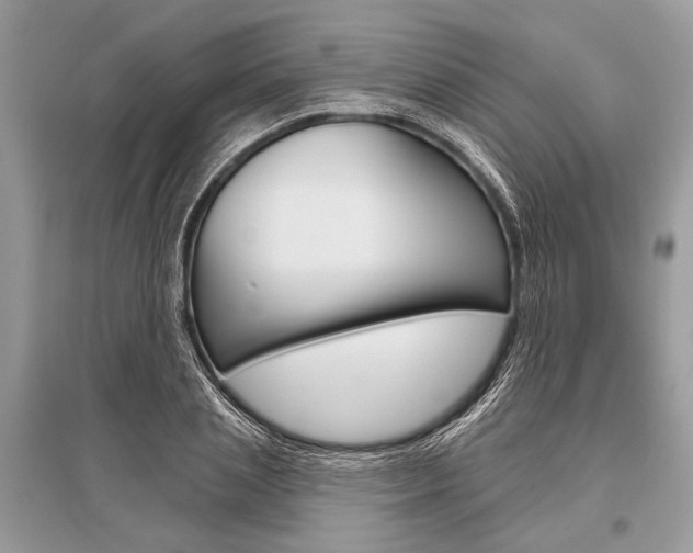 X0000096490837200801241208