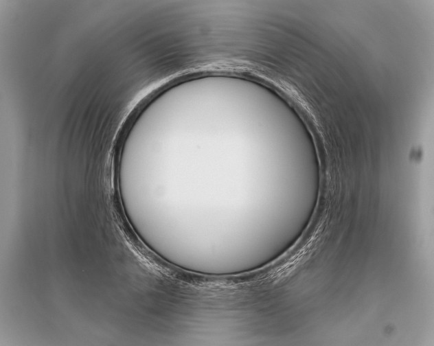X0000096490838200801241208