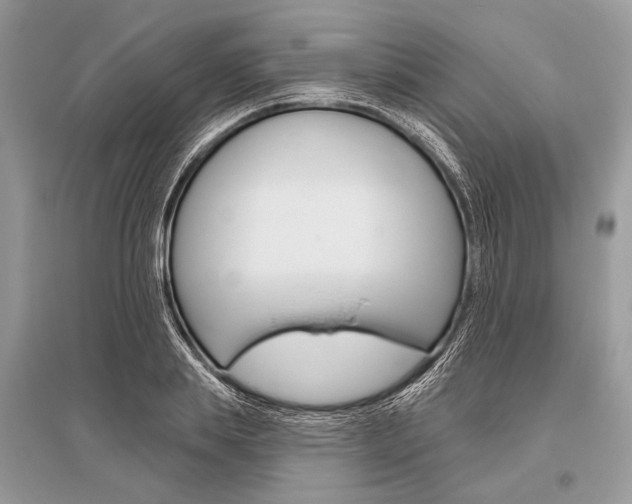 X0000096490839200801241208