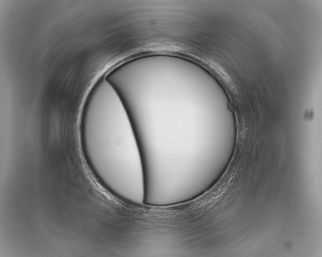 X0000096490840200801241208