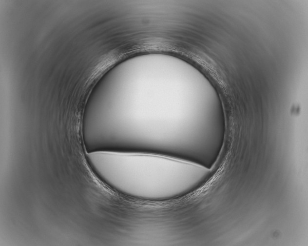 X0000096490841200801241208