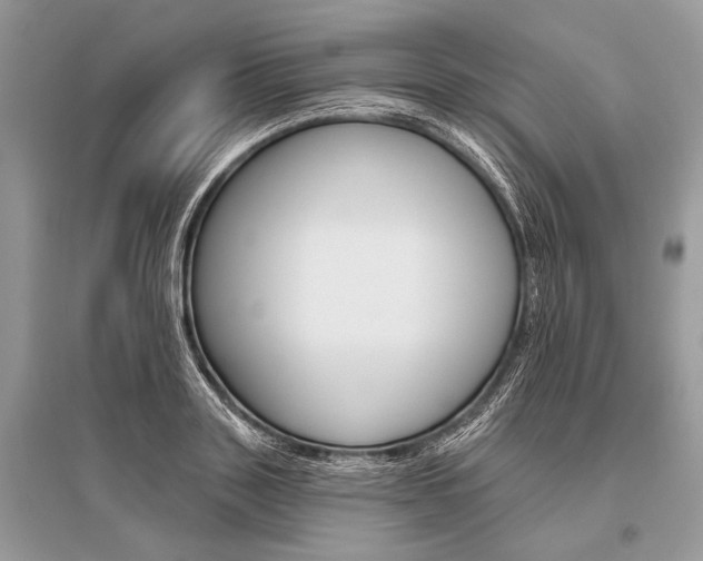 X0000096490843200801241208