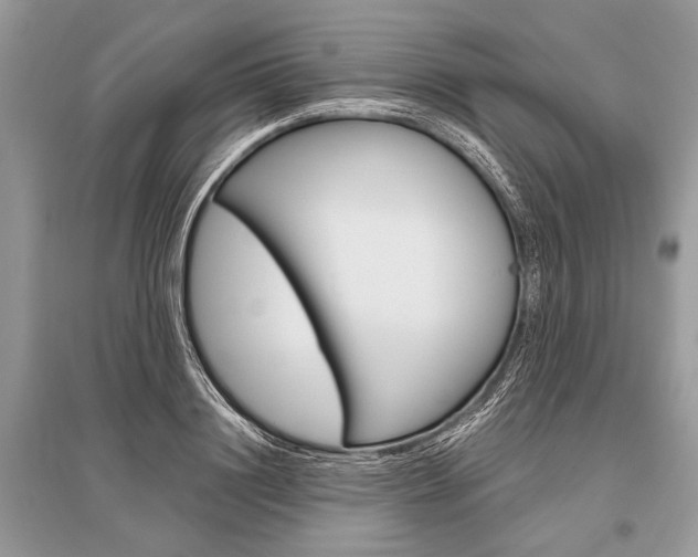 X0000096490844200801241208