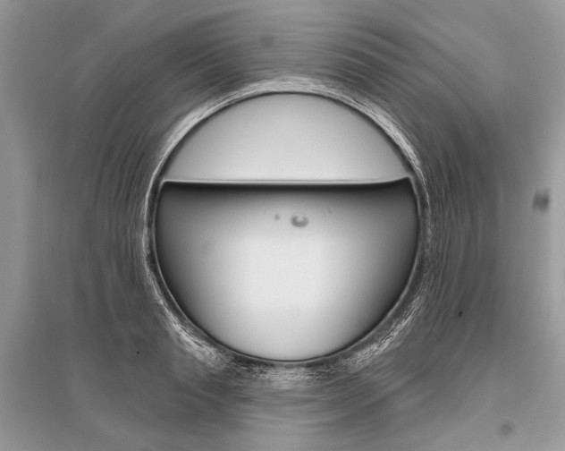 X0000096490845200801241208