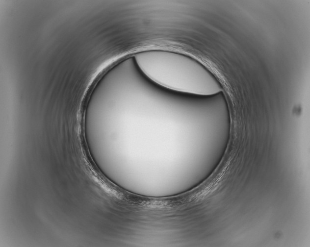 X0000096490846200801241208