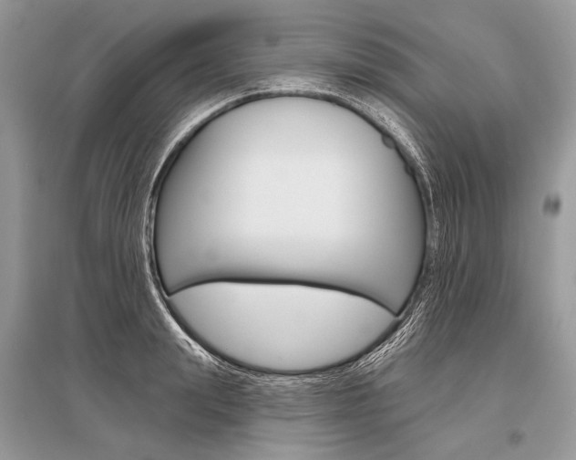 X0000096490847200801241208