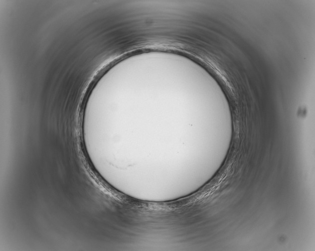 X0000096490848200801241208