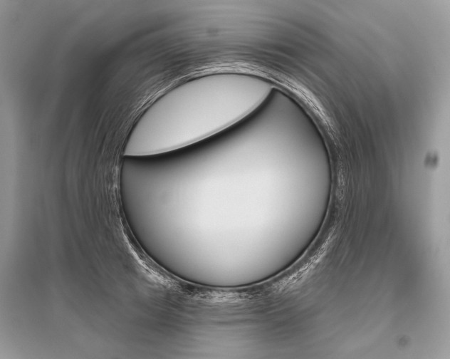 X0000096490849200801241208