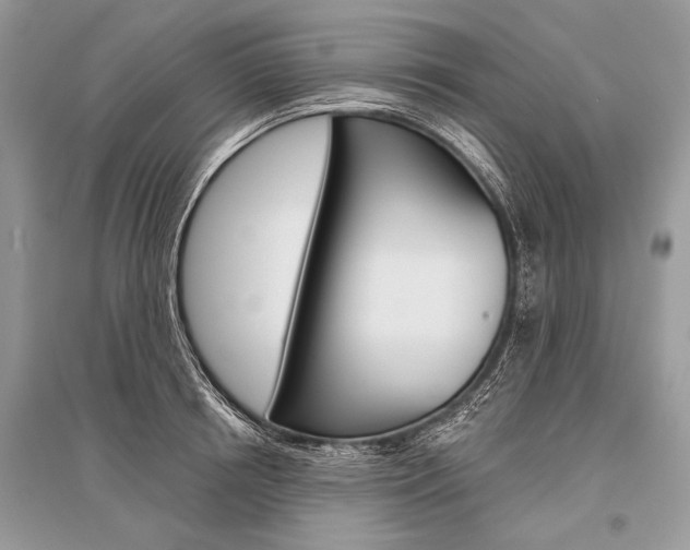 X0000096490850200801241208