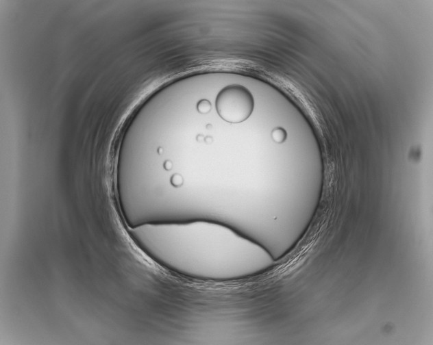X0000096490851200801241208