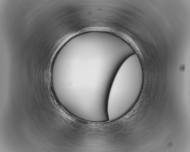 X0000096490852200801241208