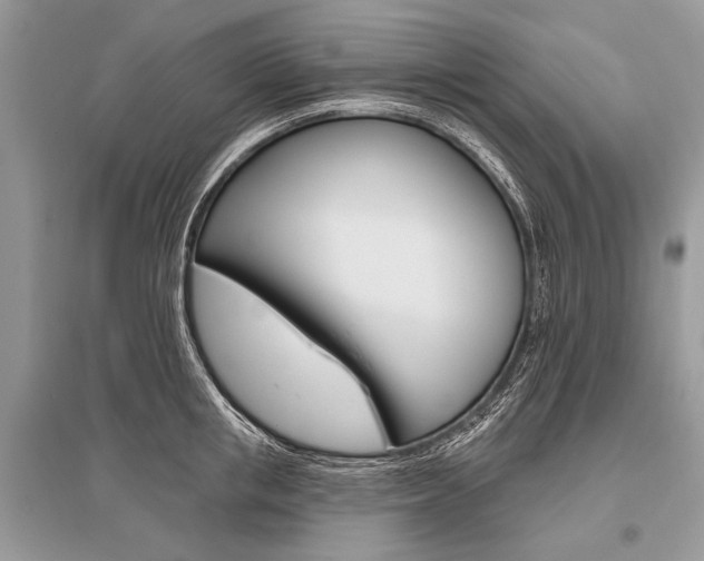 X0000096490853200801241209