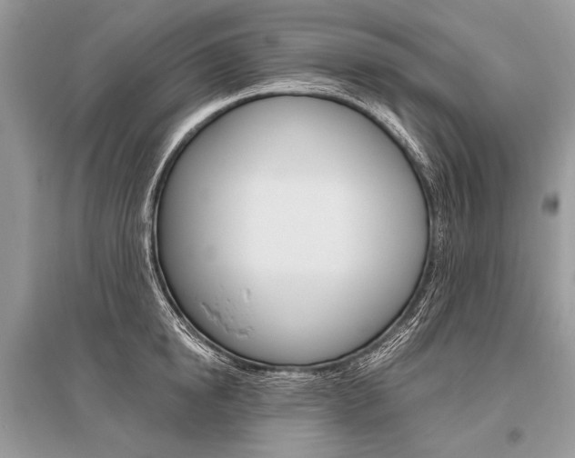 X0000096490854200801241209