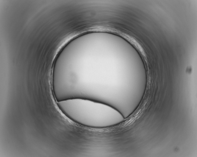 X0000096490855200801241209
