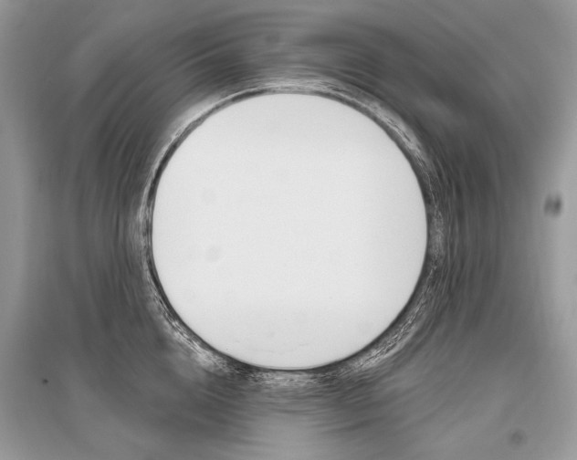 X0000096490856200801241209