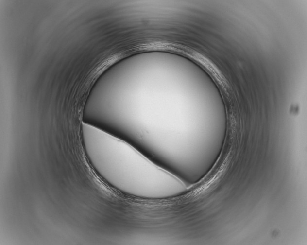 X0000096490857200801241209