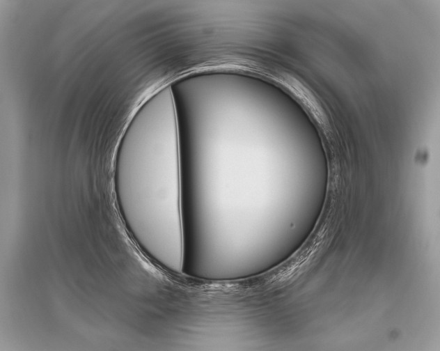 X0000096490858200801241209