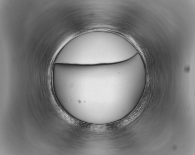 X0000096490859200801241209