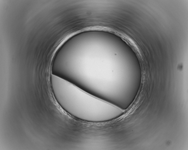 X0000096490860200801241209