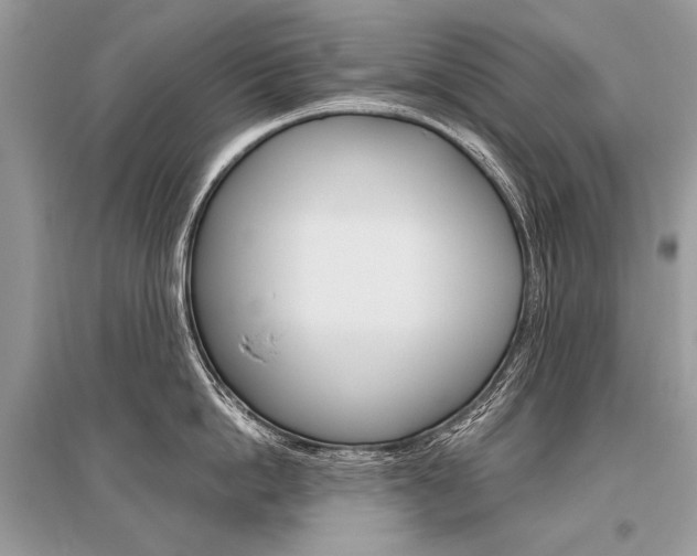 X0000096490862200801241209