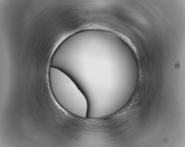 X0000096490863200801241209