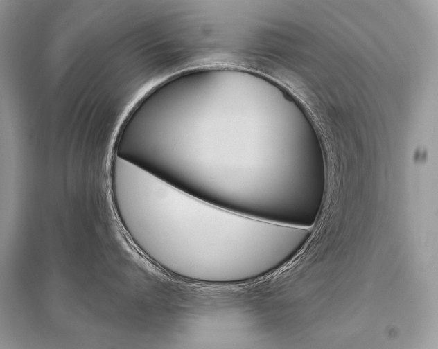 X0000096490864200801241209