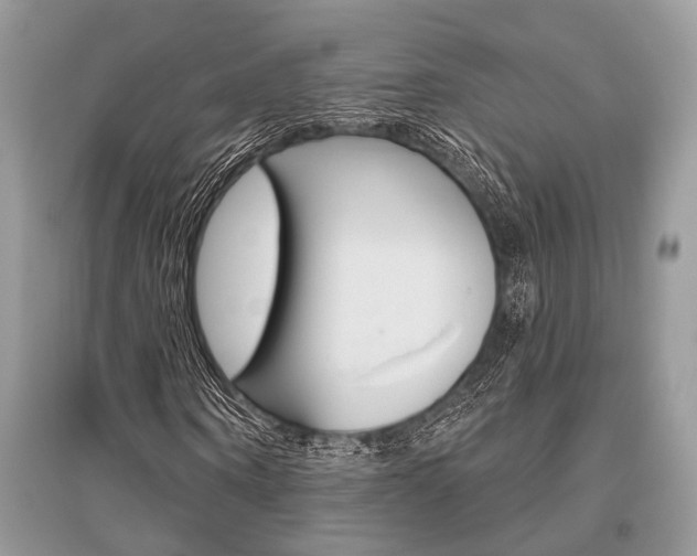X0000096490866200801241208