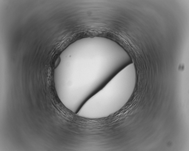 X0000096490867200801241208