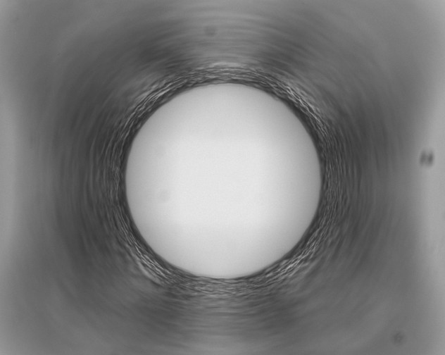 X0000096490868200801241208