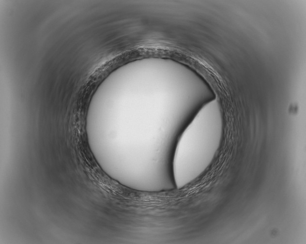 X0000096490870200801241208