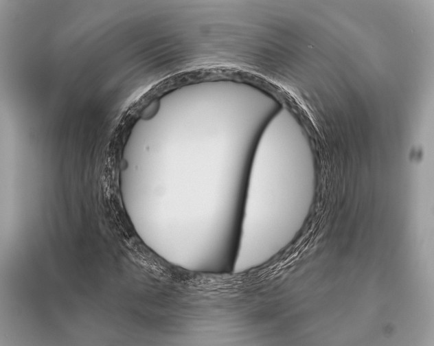 X0000096490871200801241208