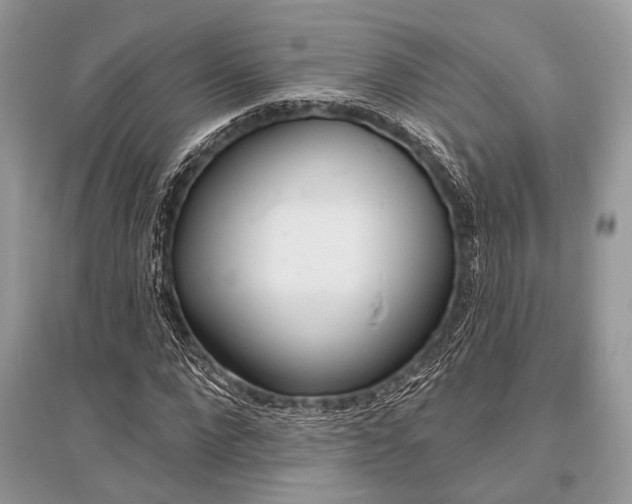 X0000096490872200801241208