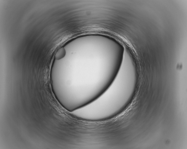 X0000096490873200801241208