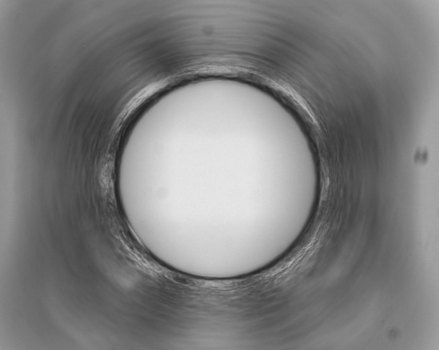 X0000096490874200801241208