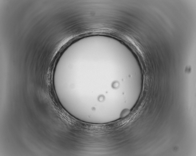 X0000096490875200801241208