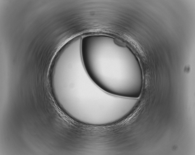 X0000096490876200801241208