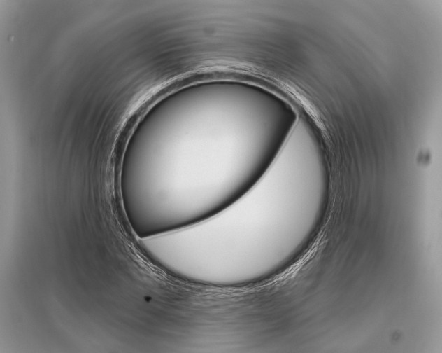 X0000096490877200801241208
