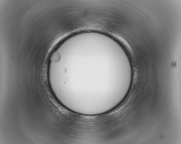 X0000096490878200801241208