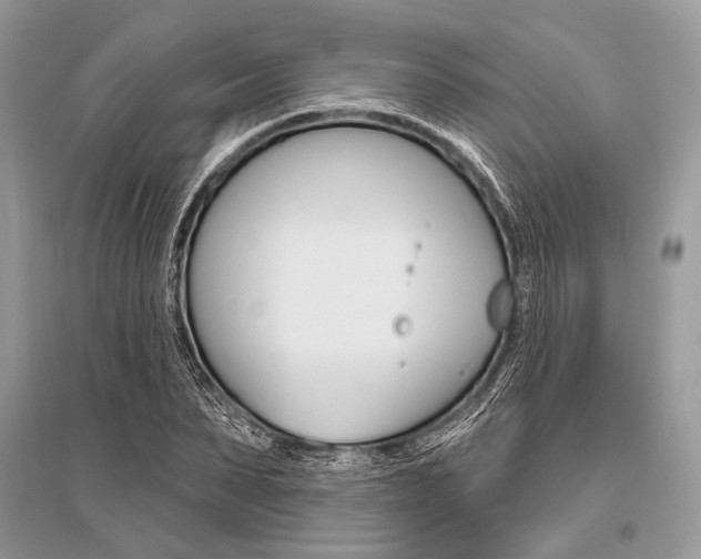 X0000096490879200801241208