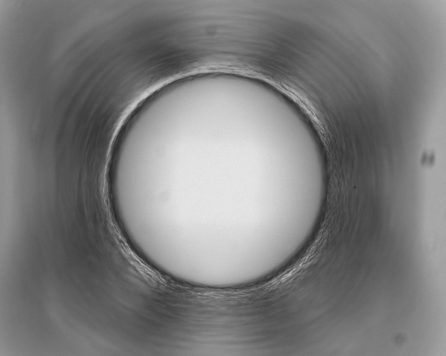 X0000096490880200801241208