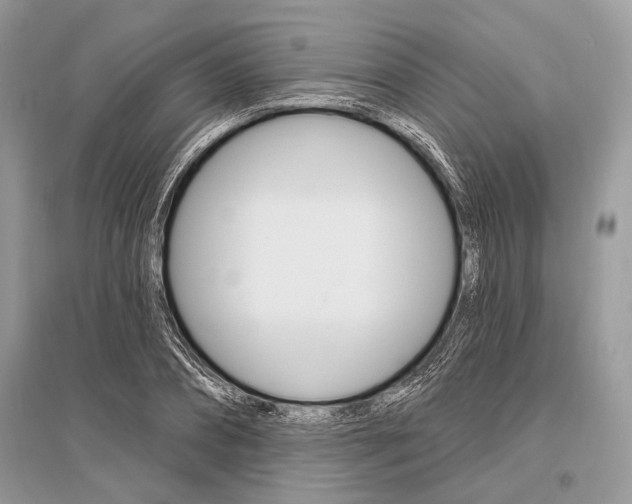 X0000096490882200801241208