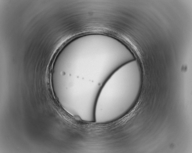 X0000096490883200801241208