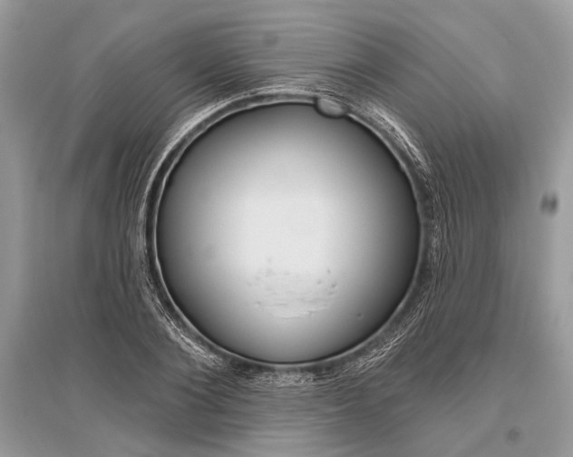 X0000096490884200801241208