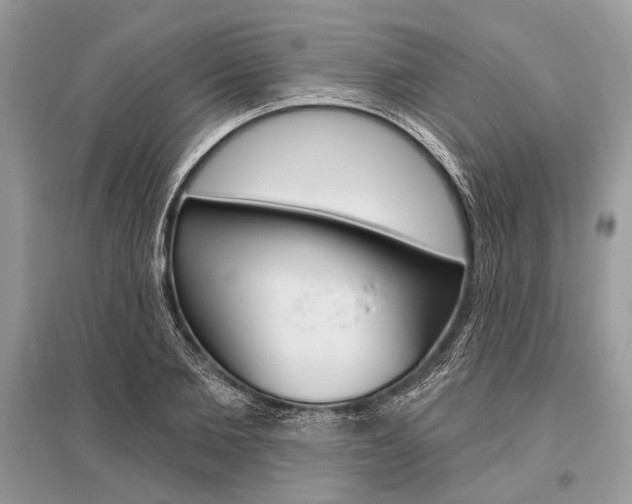X0000096490885200801241208