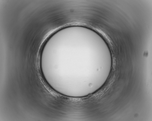 X0000096490886200801241208